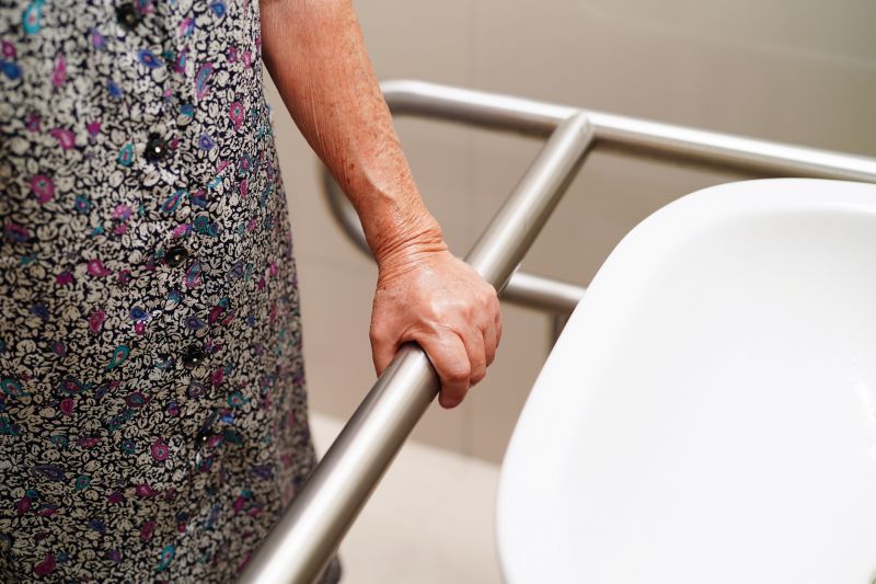 Elderly Bathroom Safety detail
