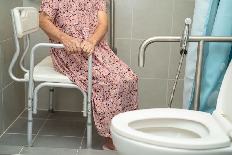 Elderly Bathroom Safety detail